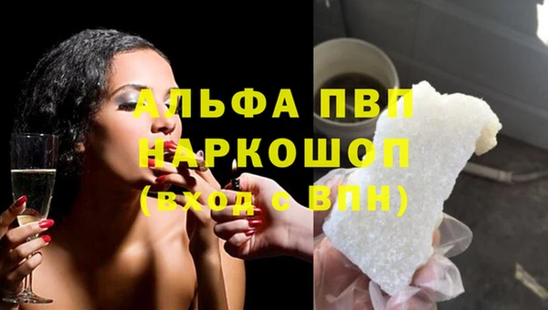 спиды Аркадак