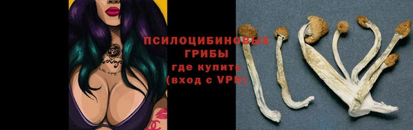 тгк Арсеньев