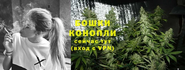 прущие крисы Армянск