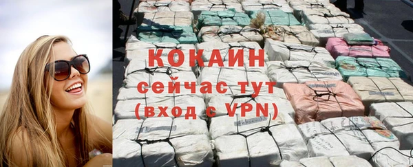 сатива Осинники