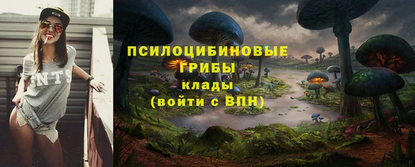 тгк Арсеньев