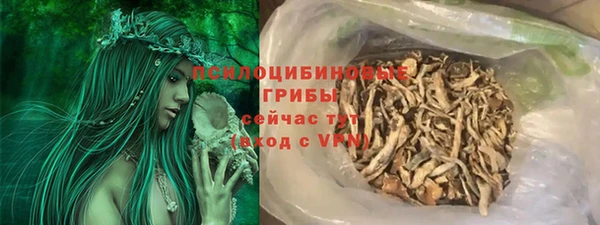спиды Аркадак