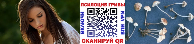 MEGA Крым Галлюциногенные грибы Psilocybine cubensis